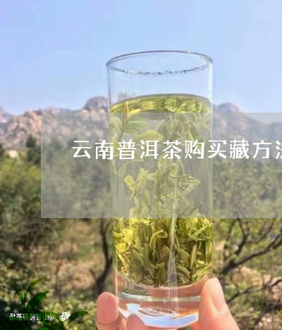 云南普洱茶的藏条件与技巧