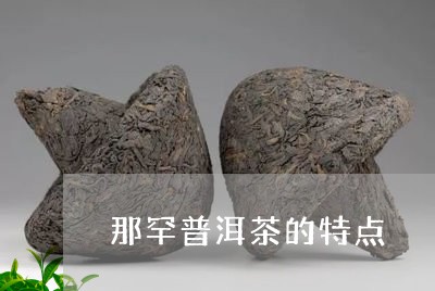 那罕古树茶特点介绍