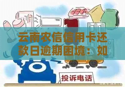 云南农信信用卡逾期怎么还