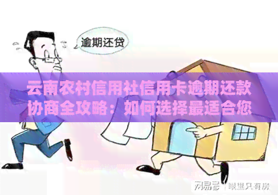 云南农信信用卡逾期怎么还