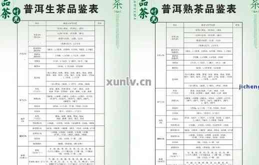 全面解析：51普洱茶品质与性价比评估