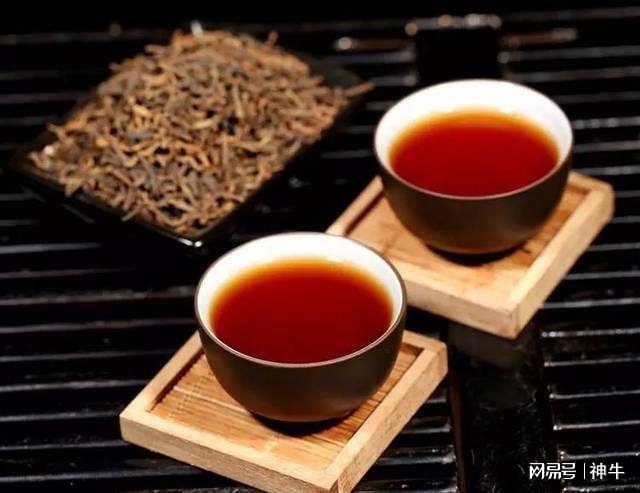 融合传统与现代：普洱茶与苦丁茶的奇妙结合