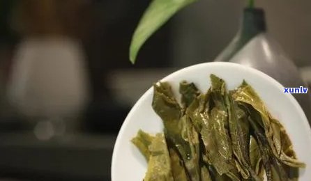 探索普洱茶芽头：揭秘其作为优质茶叶的多种用途与风味体验