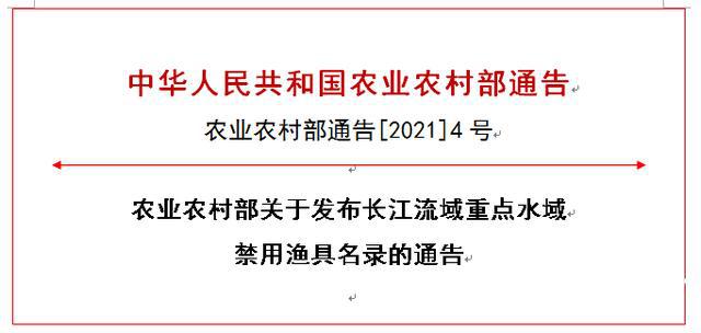 南溪长江钓鱼指南：安全须知、更佳钓点及必备技巧