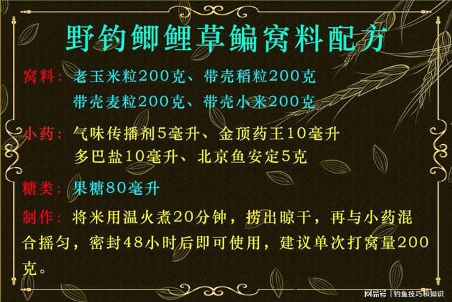 南溪长江钓鱼指南：安全须知、更佳钓点及必备技巧