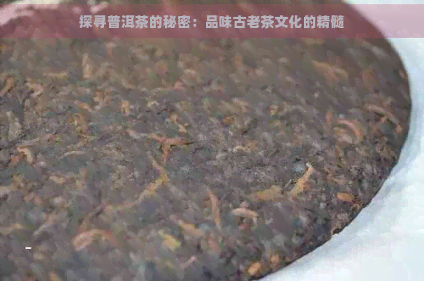 普洱茶口感之谜：探究其苦味背后的科学与文化