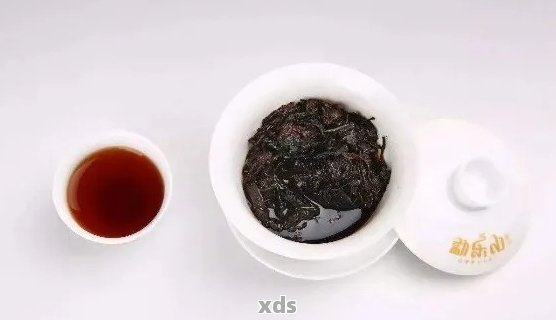 普洱茶口感深度解析：从苦到，体验茶中艺术