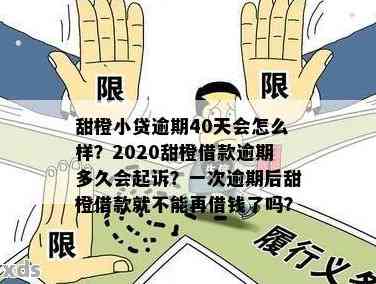 甜橙借款逾期被起诉了应该怎么应对