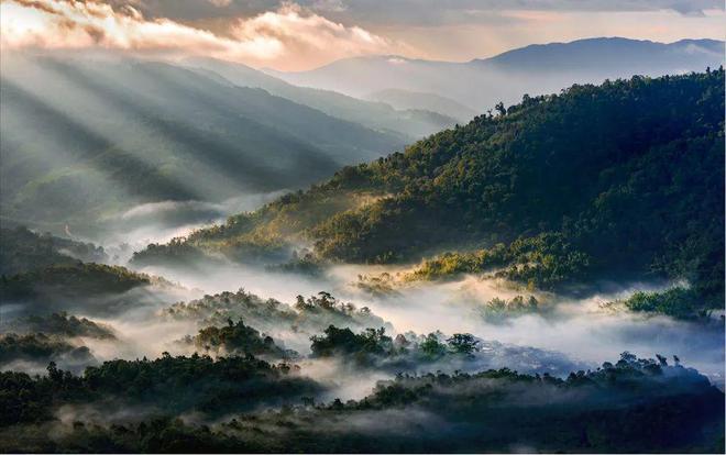 勐茶的产地：揭秘普洱茶中的勐名山