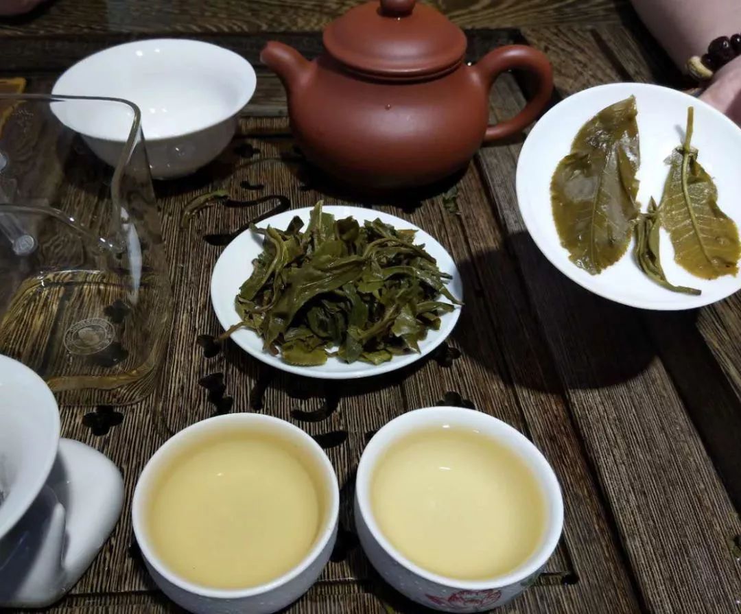 普洱茶老茶客品茶