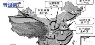 老班章茶产区位置及介绍