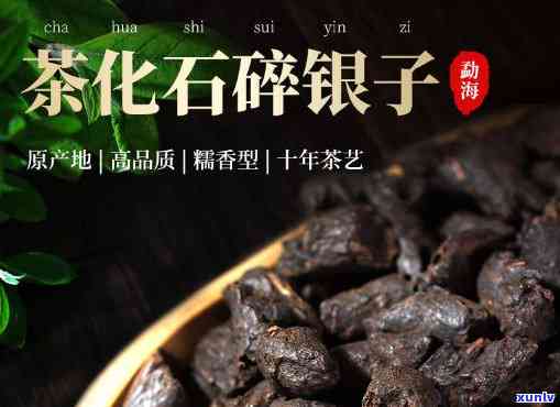 碎银子茶有何功效与作用