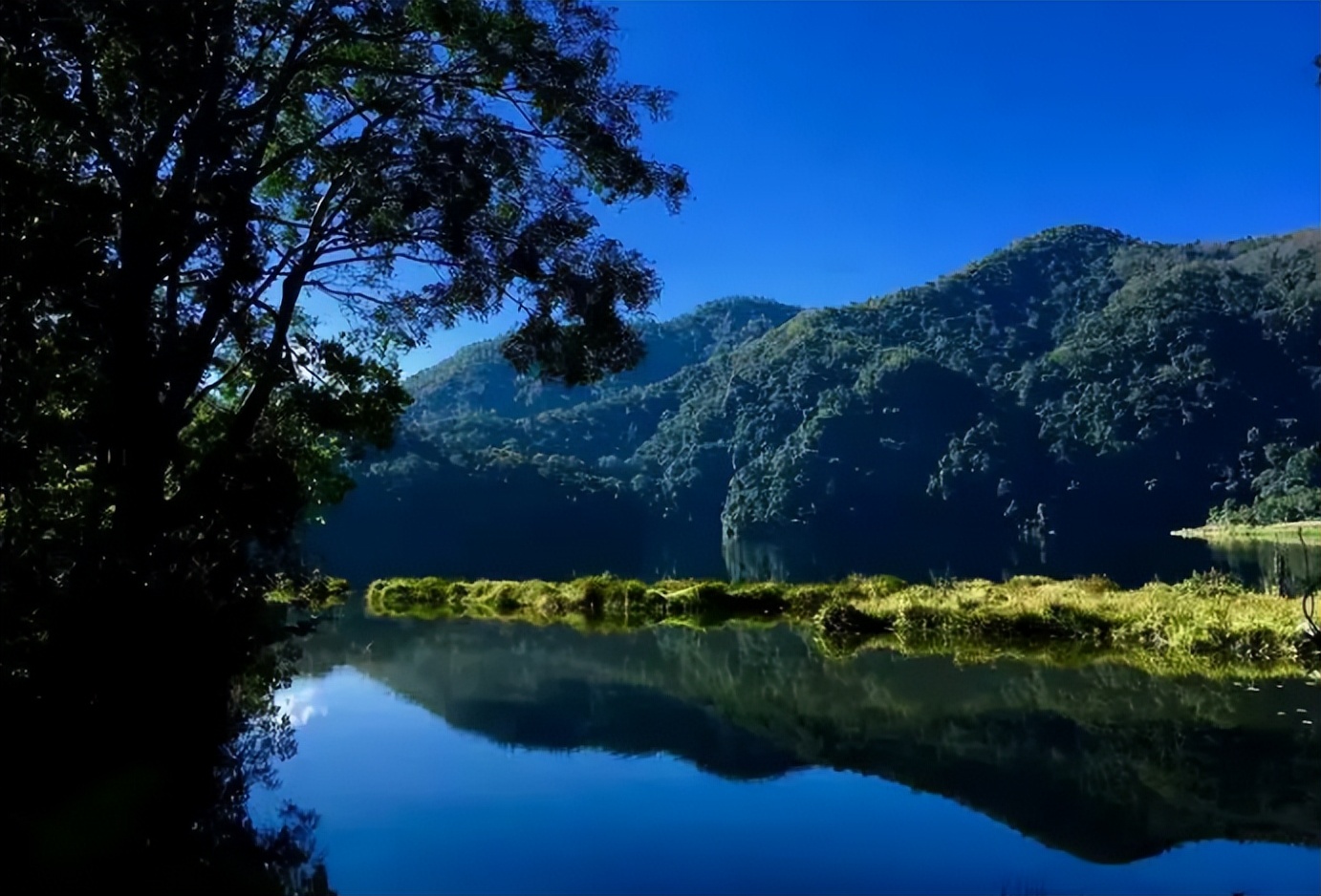 普洱茶的基础味道是什么