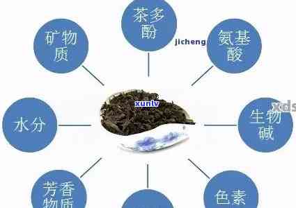 普洱茶品鉴指南：探索其多层次的风味及其背后的秘密