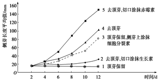 莫西沙黑皮沙红黄雾的颜色变化及其影响因素