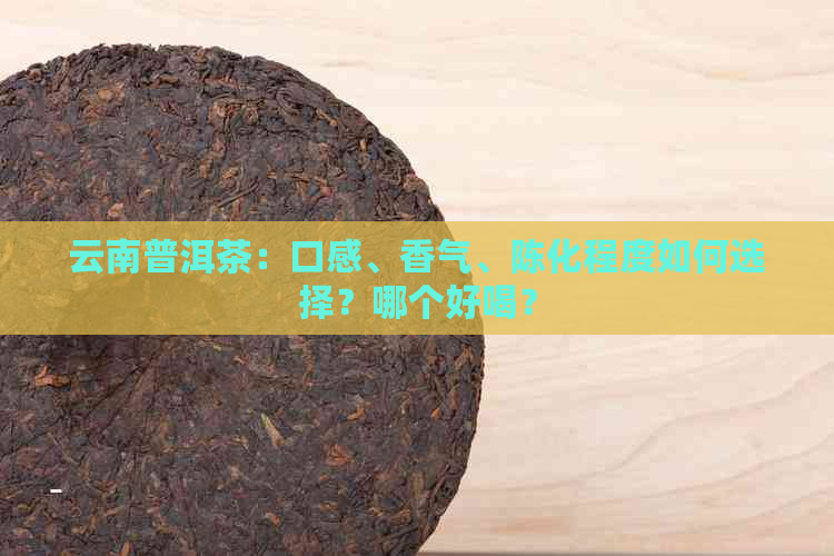 普洱茶口感全面解析——从初尝到品鉴的多层面探索