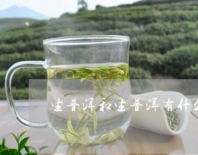 普洱茶生茶和生普的区别