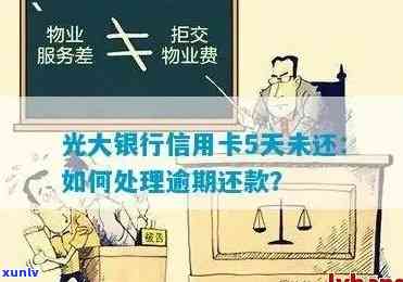 光大信用卡逾期了怎么办处理方法