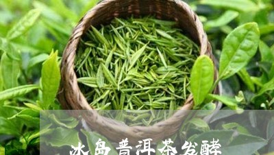 冰岛普洱茶发酵吗