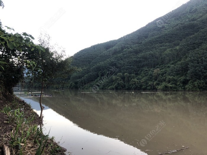 普洱小黑江钓鱼场联系电话及野钓信息