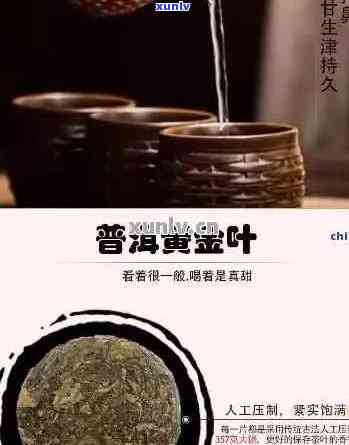 云南黄金叶茶：全面解析其健功效与实用应用