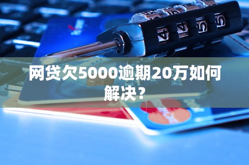 网贷57万逾期如何解决