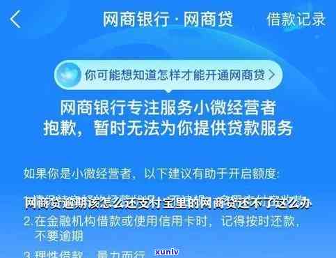 花呗网商贷10万逾期怎么办