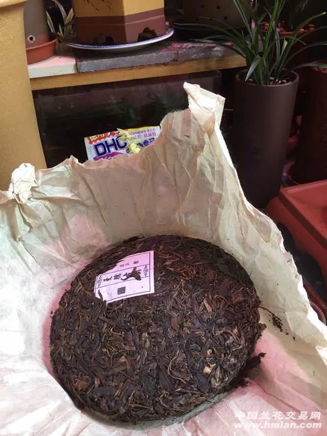 2007年普洱茶饼长毛