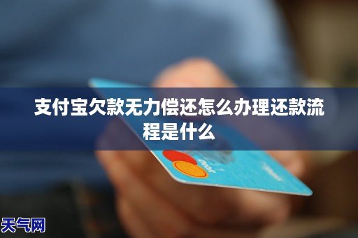 支付宝欠了钱无力偿还应该怎么办