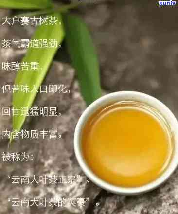 普洱茶下关茶的定义与鉴指南