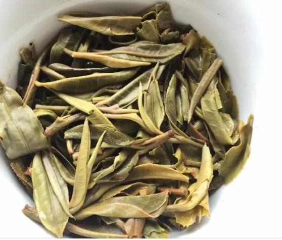 普洱古树茶：揭秘其独特的生态种植法与自然风味