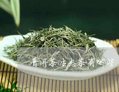 生态普洱茶什么意思