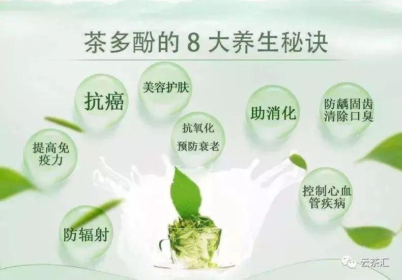 普洱茶的抗氧化功效：如何保护身体免受自由基伤害？