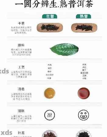 普洱茶熟茶与生茶：区分、鉴及品饮指南