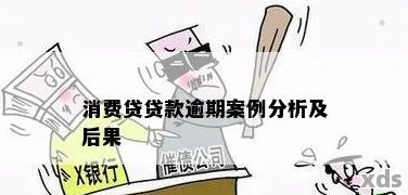 分期消费贷款逾期会有什么后果