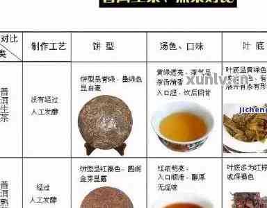 普洱茶药用价值十年解析：从传统到现代的探索