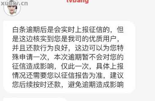 白条逾期20天会被上吗