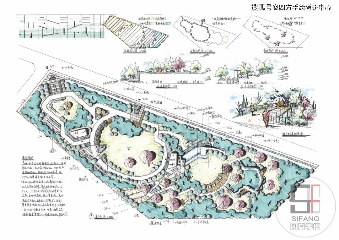 滇红茶叶新策略与市场分析