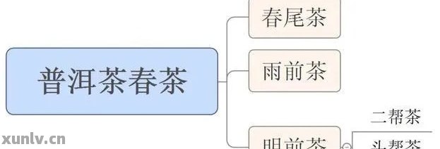 探索2021年普洱茶智慧树：全面解答与深入解析