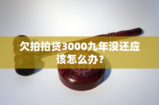 欠3000九年没还怎么办