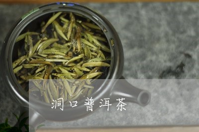 洞口县普洱茶产地及联系方式大全