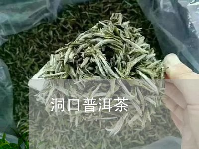 洞口县普洱茶产地地址