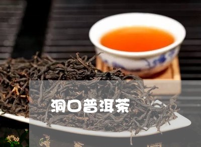 洞口县普洱茶产地地址