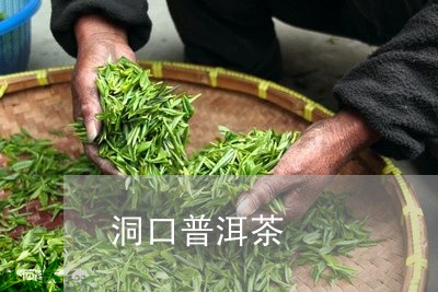 洞口县普洱茶产地地址