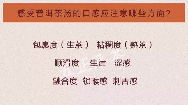 普洱茶无香气味道的全面解析与应对策略