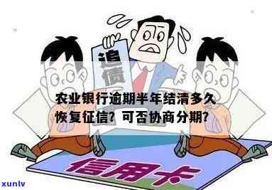 农业银行信用卡分期可以协商吗及相关问题解答