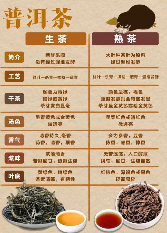 普洱茶相关知识点