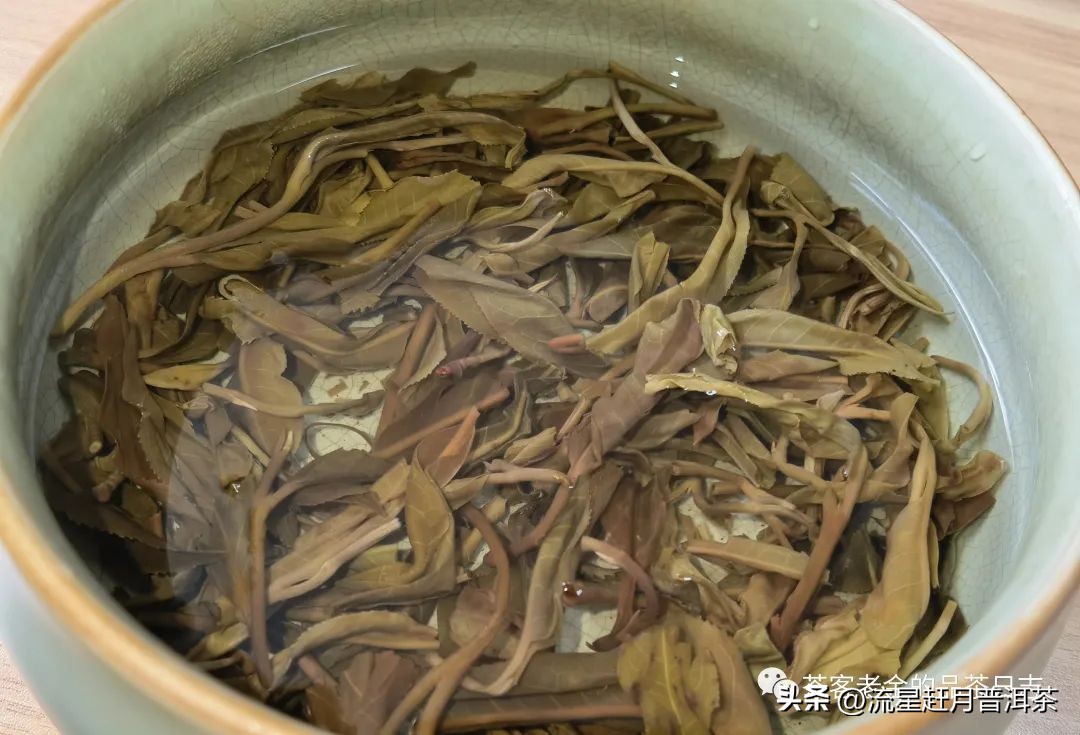 老曼普洱茶有什么特点吗，老曼峨普洱茶特点功效