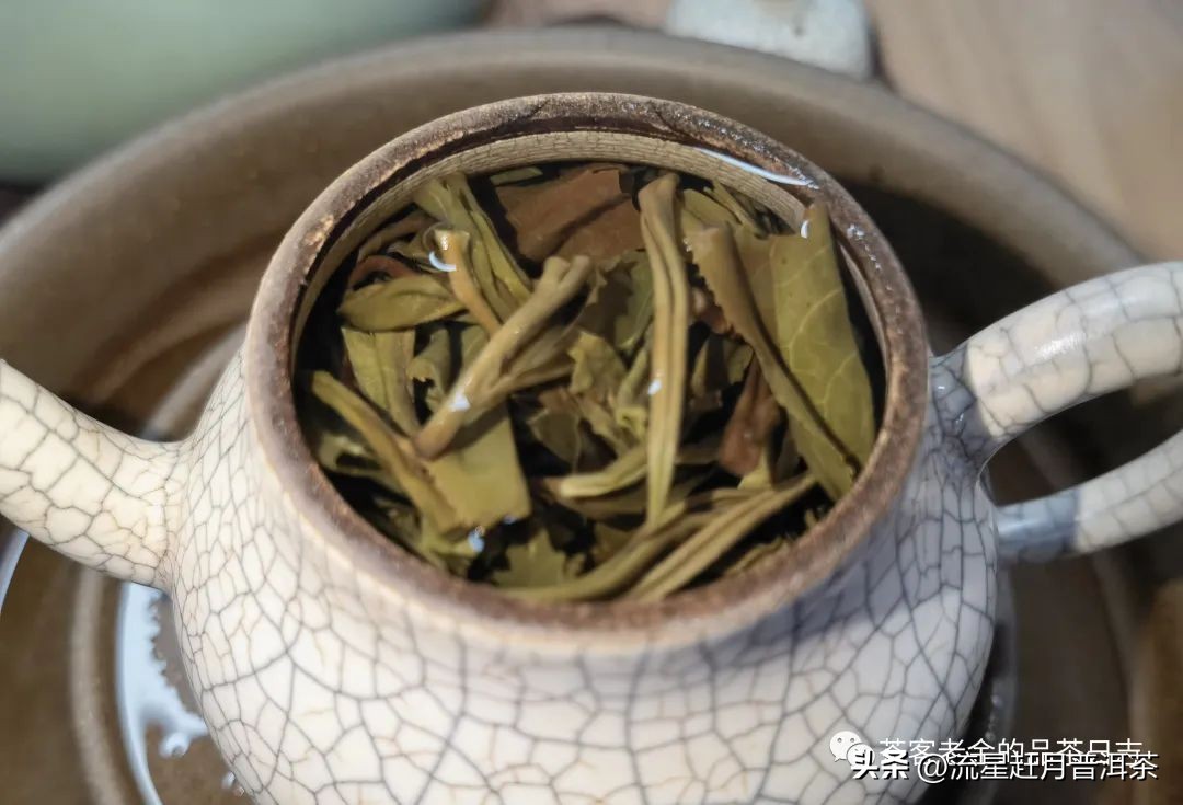 老曼普洱茶有什么特点吗，老曼峨普洱茶特点功效