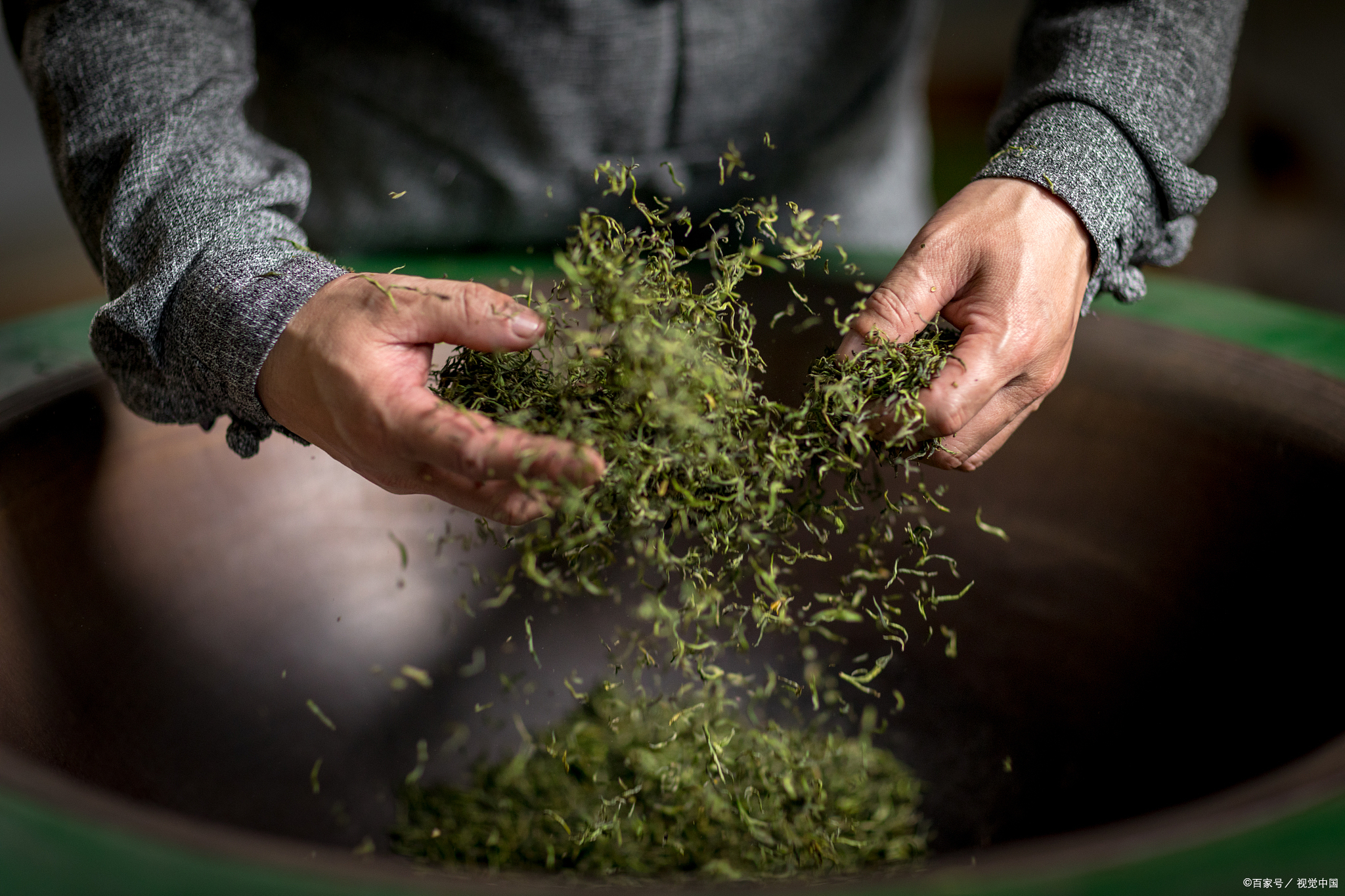 适合烤制茶叶的精选茶种